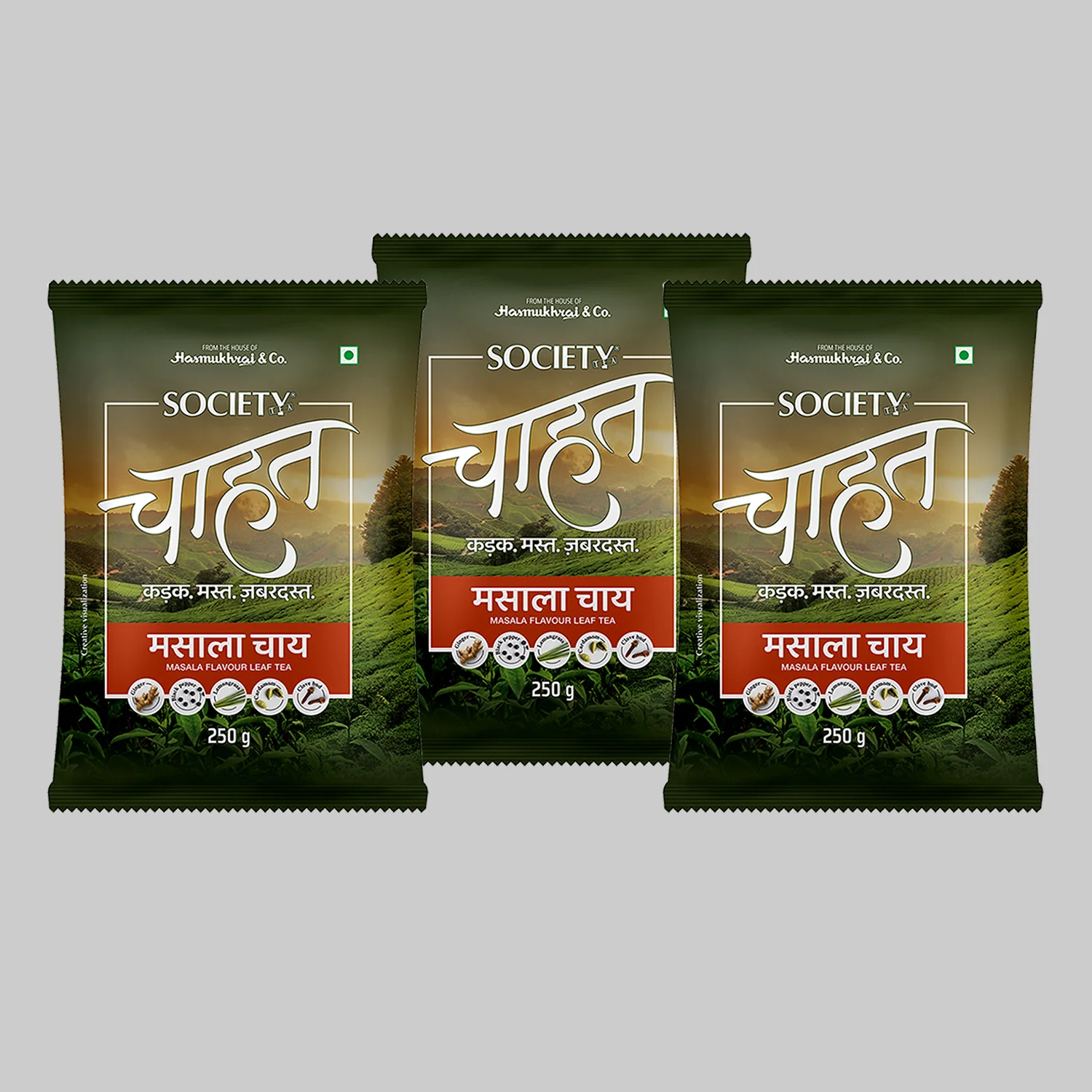 Society Chahat Masala 250 g Pouch - Image 4